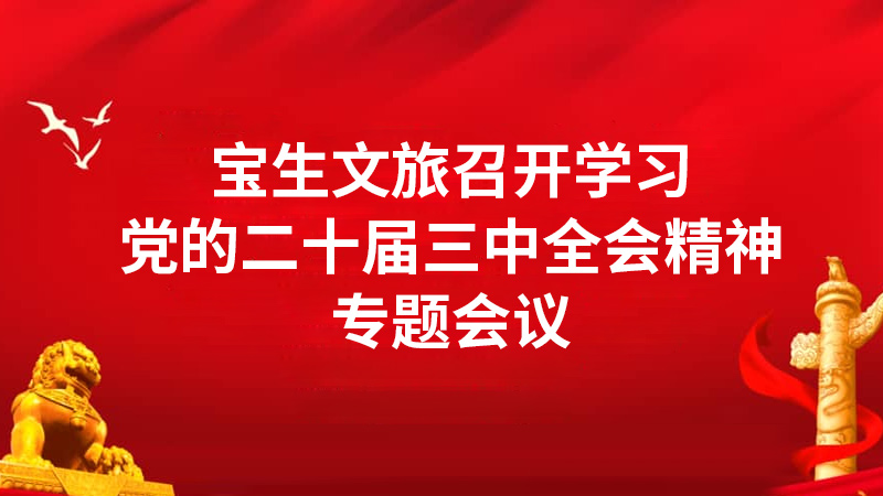 寶生文旅召開學(xué)習(xí)黨的二十屆三中全會(huì)精神專題會(huì)議